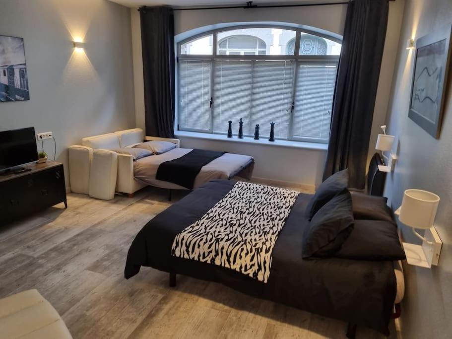 Grand Appartement Pres De La Cathedrale De Quimper Dış mekan fotoğraf